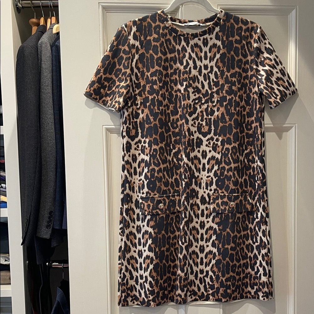 Zara Leopard Print Mini Dress in Brown and Black